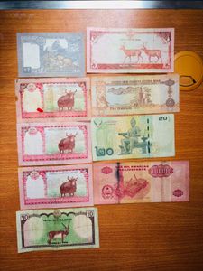 Foreign Currency Collection Full Set