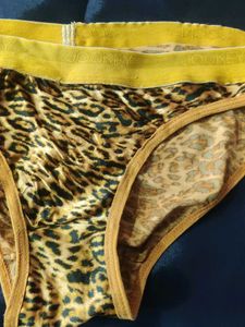Leopard Print Briefs