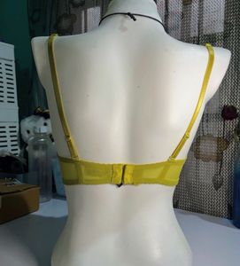 Whimsy Lace Bra🧚