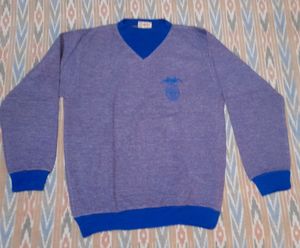 Full Sleeves Tshirt