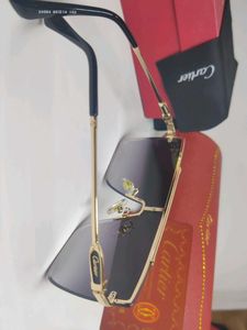 Designer Shield Sunglasses by Cartier