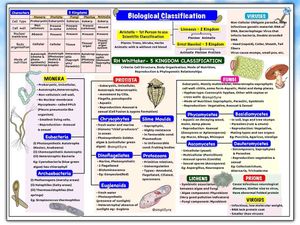 NEET Biology MindMaps