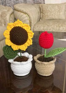 Handmade Crochet Flower Pot Set