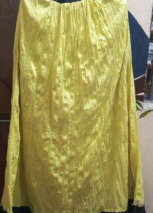 Designer Long Skirt