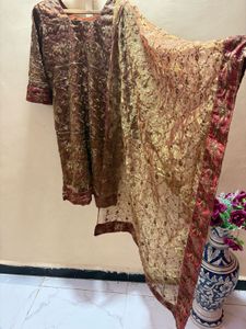 Beautiful organza  party wear dress