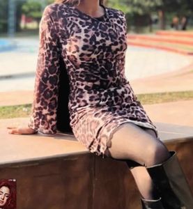 Leopard Print Mesh Mini Dress