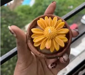 Handmade Daisy diya Candle 4 qty