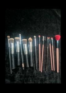 Set of Makeup Brushes