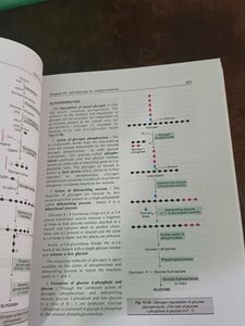 Biochemistry Textbook Satyanarayana