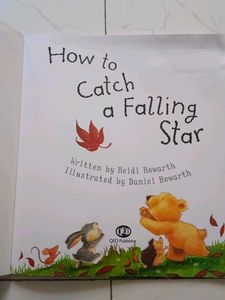 How to Catch a Falling Star Book