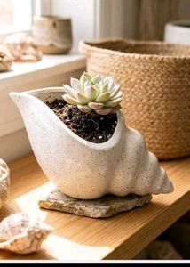 Unique Seashell Planter Pot