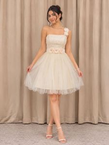 Cream Tulle Dress with Floral Embellishments