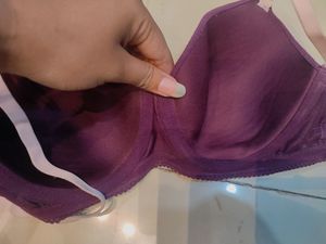 Zivame Padded Wired T Shirt Bra