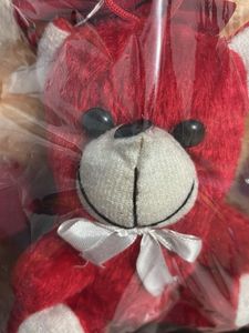 Cute Teddy Bear Set