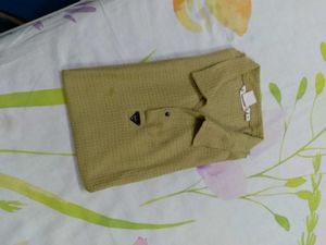 Green Textured T shirt