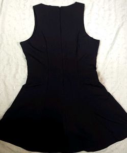Classic Black Sleeveless Fit and Flare Dress