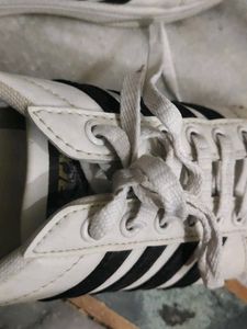 White Adidas Sneakers