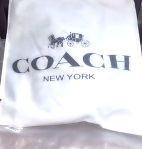 Coach Handbag with Chain Detail