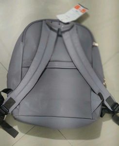 Baggit L Greedy purple solid laptop backpack