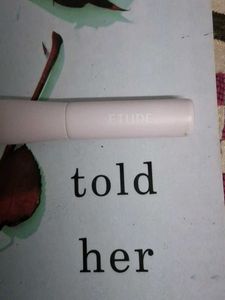 etude house soft brush(bought in korea)
