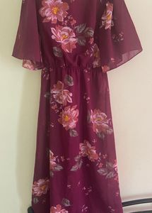 One Piece Purple Colour New