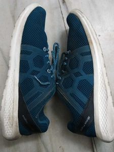 Sparx Men's Teal Sport Shoes