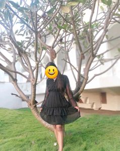 Chic Black Sheer Ruffle Dress