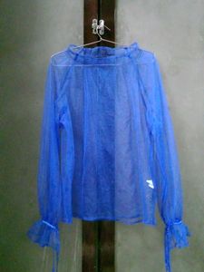 Sheer Blue Lantern Sleeve Top