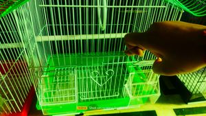 Cage Pijara