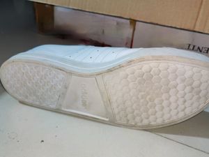 Adidas Men's Casual Shoes. Unused. No Coins.