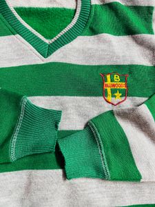Green &amp; Grey Striped V-Neck Sweater