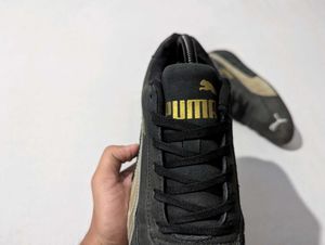 Puma Speedcat