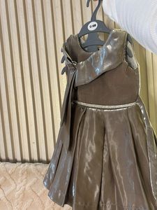 Elegant Shimmering Gown