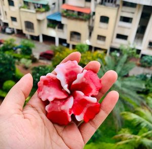 2 Hibiscus Flower Candle