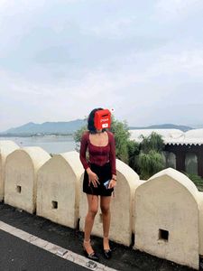 gothic mesh bustier top