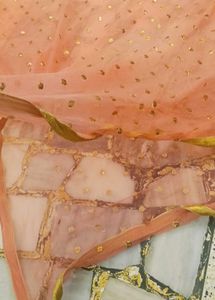 Peach Dupatta with Gold Embellishments