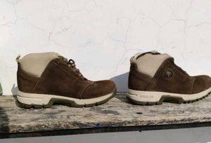 WOODLAND with FREE DELIVERY