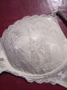 Beautiful Chicken Work Padded Bra
