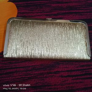 Elegant Golden Clutch Purse 👜 Beautiful
