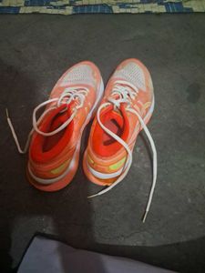 Asics Gel-nimbus 21