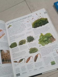 encyclopedia vol10 M-O