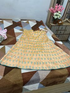 Embroidered Ethnic Skirt - Peach