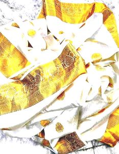cream gold zari pure Silk saree