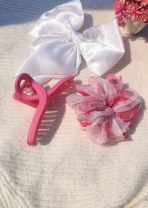 Combo Hair Claw And 1 Organza Scrunchies