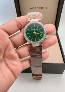 Michael Kors  Mesh Watch