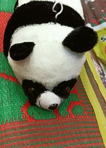 Soft Panda