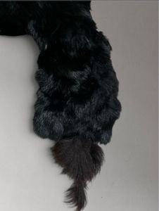 Vintage Black Fox Fur Scarf