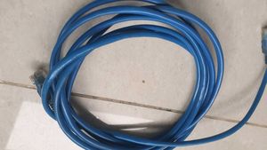Blue Ethernet Cable