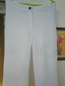 Popwings Women Casual  Solid pant