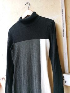 Bodycon ColorBlock Turtleneck Dress (Women)